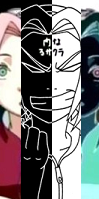 INNER SAKURA.PNG